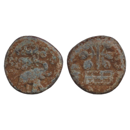 Satavahanas, Elephant type Lead coin from Newase-Paithan region, in the name of 'Satavahan