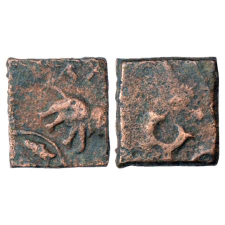 Obv: Elephant with trunk raised walking to right, wavy line with fish below; Brahmi legend