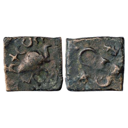 Obv: Elephant with trunk raised walking to right, wavy line with fish below; Brahmi legend
