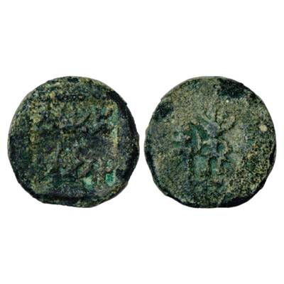 Panchala, Bhumimitra, alloyed Copper Karshapana, MAC 4545, 9.57g. Obv: In square incuse, t