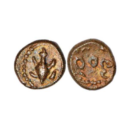 Tamil Nadu, copper cash in the name of Venkatapati Raya II/III, (1600-1650 AD), struck mos
