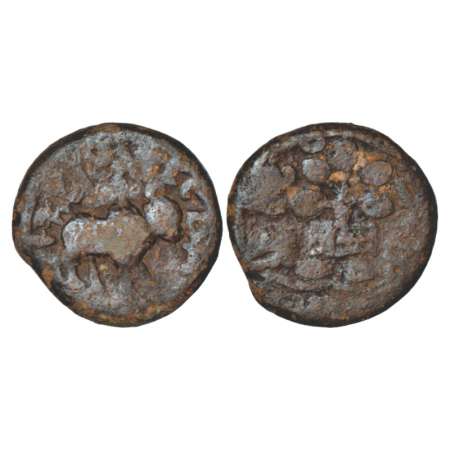 Satavahanas, lead 'bull' type coin attributed to Siri Satakani (100-50 BC), Newase-Paithan
