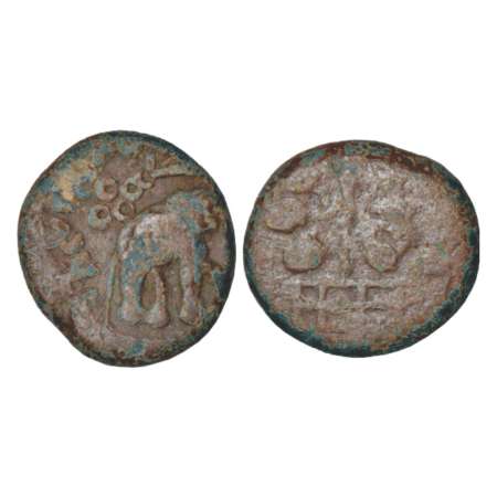 Satavahanas, 'elephant' type Lead coin from Newase-Paithan region, in the name of 'Satavah