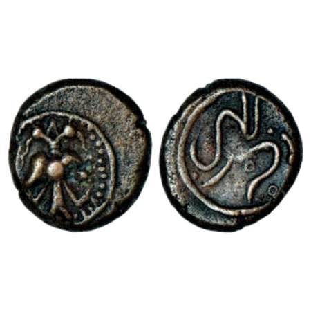 Polygars of the Vijayanagara Empire in Rayalaseema/ Taminadu region, anonymous cash (1600-