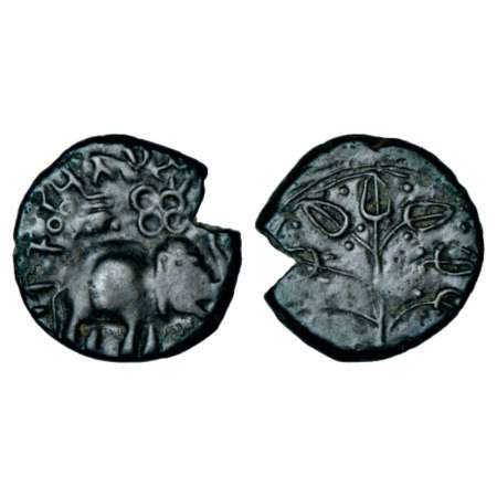 Satavahanas, arsenical copper alloyed 'elephant' type coin of Kochhiputa Satakani from Nas