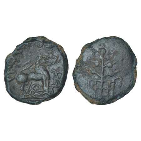 Lesser Satavahanas of Banavasi, alloyed copper 'lion' type coin of Chutukulananda, (200-25