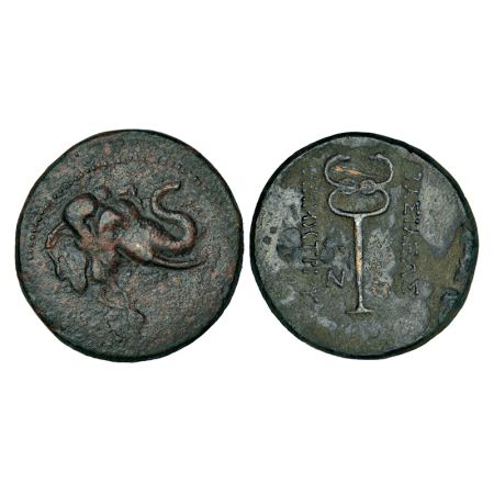 Indo-Greeks, Demetorios I (200-185 BC), copper triple unit, 11.43g. Obv: Elephant head to 