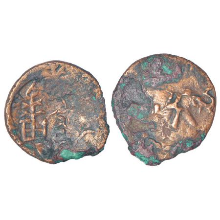 Ancient Haryana, 'Agodaka' city-state of the Agacha people, copper coin of 'tree-in-railin