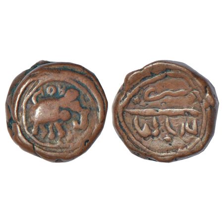 Mysore - feudatory rulers of late 18th century (Haider/Tipu Sultan period), Tamilnadu seri