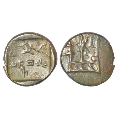 Panchala, monarchical coinage - alloyed copper coin of Yajnabala (c.50-100AD), not listed 