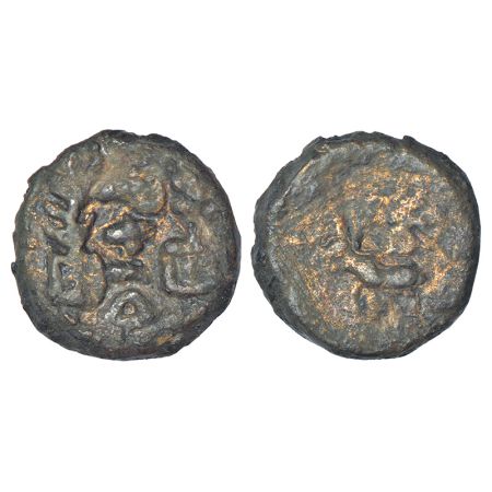 Ancient Eastern Malwa, Dasharna area, Erikachha city-state, Betwa valley (200-150 BC), cop