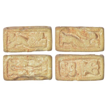 Ancient Malwa - box-shaped bead made from ivory or bone with symbols carved on all four fa