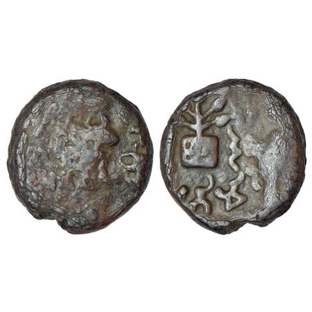 Kausambi/Vatsa region, monarchical series - copper coin of Pajapatimita (Prajapatimitra), 