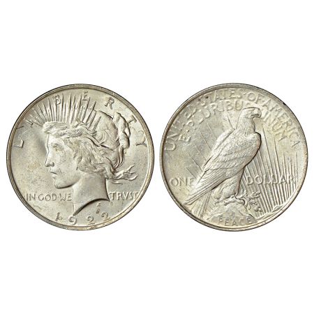 United States of America, silver peace dollar, 1922, KM 150, 26.58g. Obv: Liberty head fac