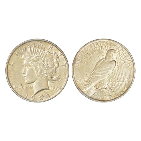 United States of America, silver peace dollar, 1928, KM 150, 26.62g. Obv: Liberty head fac