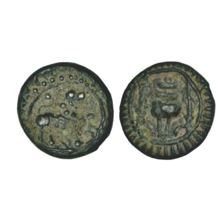 Vishnukundin, uninscribed coin of alloyed copper, (500-600 AD), 6.83g. Obv: Lion facing to